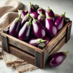 aubergine